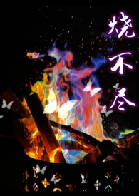 烧不尽（1v