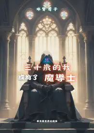 三十岁的我成为了魔导士